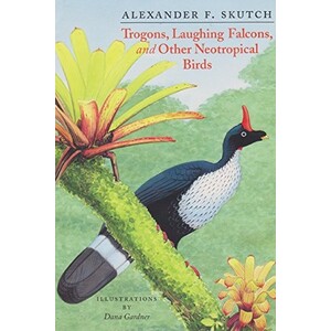 TROGONS, LAUGHING FALCONS, AND OTHER NEOTROPICAL BIRDS