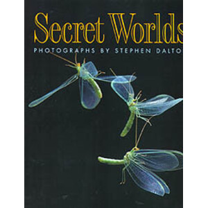 SECRET WORLDS. PHOTOGRAPHS BY STEPHEN DALTON