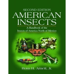 AMERICAN INSECTS. A HANDBOOK OF THE INSECTS OF AMERICA NORTH OF MEXICO. 2ND EDITION