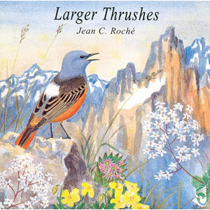 CD  MERLES ET GRIVES/ LARGER THRUSHES