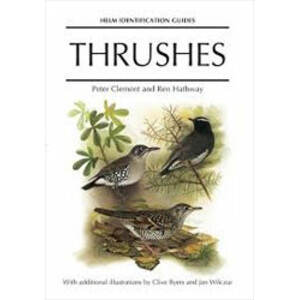 HELM IDENTIFICATION GUIDES. THRUSHES