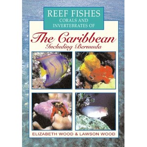 REEF FISHES, CORALS AND INVERTEBRATES OF THE CARIBBEAN INCLUDING BERMUDA