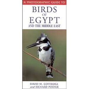 A PHOTOGRAPHIC GUIDE TO BIRDS OF EGYPT AND THE MIDDLE EAST