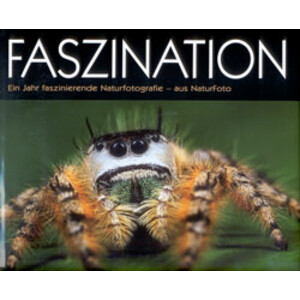 FASZINATION EIN JAHR 1