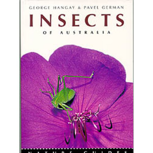 INSECTS OF AUSTRALIA