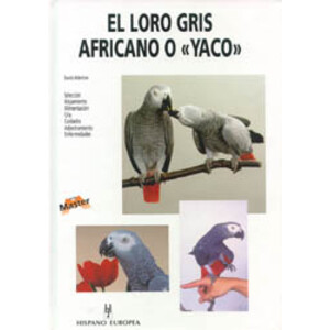 EL LORO GRIS AFRICANO O &QUOT;YACO&QUOT;