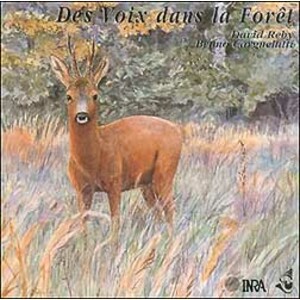 CD LES VOIX DANS LA FORÊT