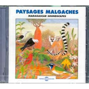 CD PAYSAGES MALGACHES / MADAGASCAR SOUNDSCAPES