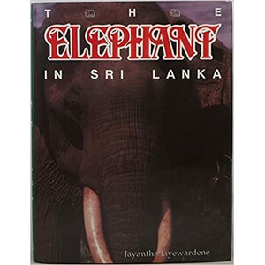 THE ELEPHANT IN SRI LANKA
