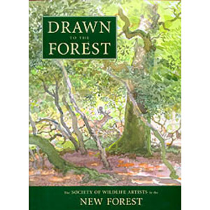 DRAWN TO THE FOREST