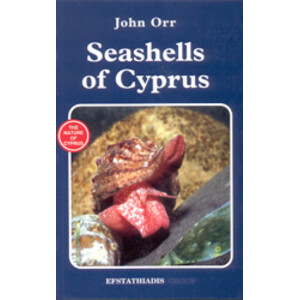 SEASHELLS OF CYPRUS