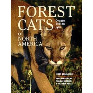 FOREST CATS OF NORTH AMERICA. COUGARS, BOBCATS AND LYNX