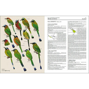 HANDBOOK OF THE BIRDS OF THE WORLD, VOL. 6. MOUSEBIRDS TO HORNBILLS_1