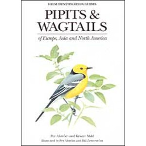 PIPITS AND WAGTAILS OF EUROPE, ASIA AND NORTH AMERICA