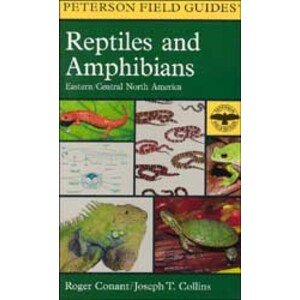 PETERSON FIELD GUIDES. REPTILES AND AMPHIBIANS. EASTERN/CENTRAL NORTH AMERICA