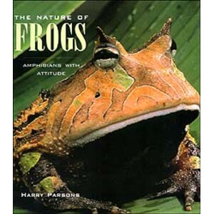 THE NATURE OF FROGS. AMPHIBIANS WITH ATTITUDE