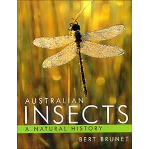 AUSTRALIAN INSECTS. A NATURAL HISTORY