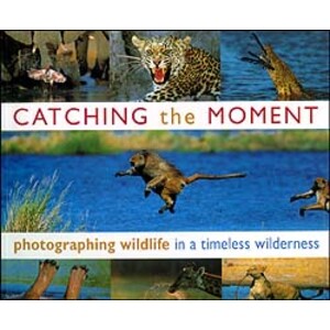 CATCHING THE MOMENT. PHOTOGRAPHING WILDLIFE IN A TIMELESS WILDERNESS