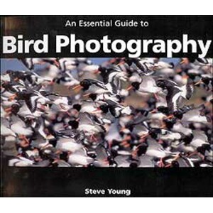 AN ESSENTIAL GUIDE TO BIRD PHOTOGRAPHY
