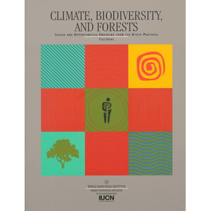 CLIMATE, BIODIVERSITY AND FORESTS. ISSUES AND OPPORTUNITIES EMERGING FROM THE KYOTO PROTOCOL