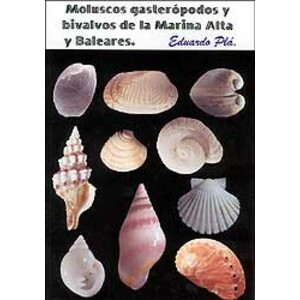 MOLUSCOS GASTERÓPODOS Y BIVALVOS DE LA MARINA ALTA Y BALEARES