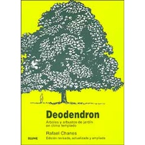 DEODENDRON. ÁRBOLES Y ARBUSTOS DE JARDÍN EN CLIMA TEMPLADO