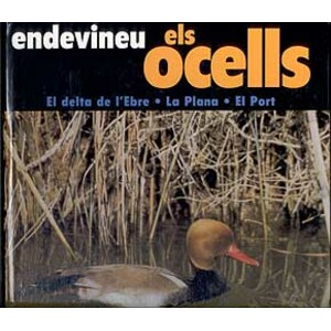 ENDEVINEU ELS OCELLS