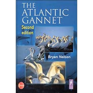 THE ATLANTIC GANNET