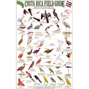 COSTA RICA FIELD GUIDE: BIRDS OF WETLAND HABITATS
