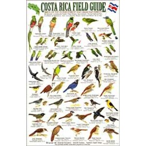 COSTA RICA FIELD GUIDE: BIRDS OF THE CLOUD  FOREST AND HIGHLAND FOREST