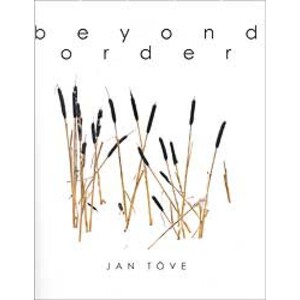BEYOND ORDER