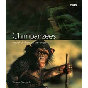 CHIMPANZEES : SOCIAL CLIMBERS OF THE FOREST