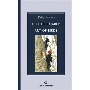ARTE DE PÁJAROS
