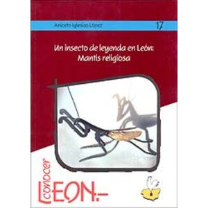 UN INSECTO DE LEYENDA EN LÉON: MANTIS RELIGIOSA