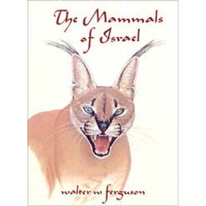 MAMMALS OF ISRAEL