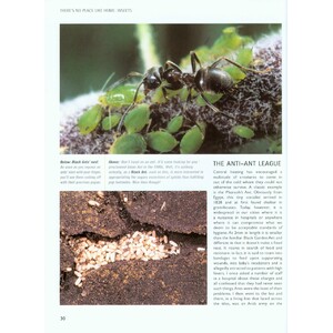 CHRIS PACKHAM'S WILD SIDE OF TOWN. GETTING TO KNOW THE WILDLIFE IN OUR TOWNS AND CITIES_1