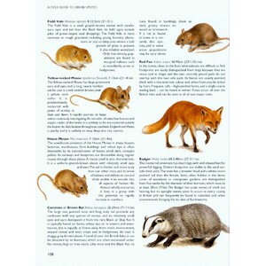 CHRIS PACKHAM'S WILD SIDE OF TOWN. GETTING TO KNOW THE WILDLIFE IN OUR TOWNS AND CITIES 4