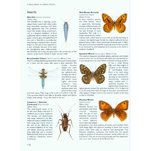 CHRIS PACKHAM'S WILD SIDE OF TOWN. GETTING TO KNOW THE WILDLIFE IN OUR TOWNS AND CITIES 5