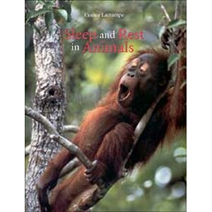 SLEEP AND REST IN ANIMALS