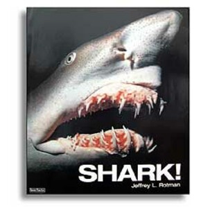 SHARK!