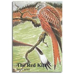 THE RED KITE