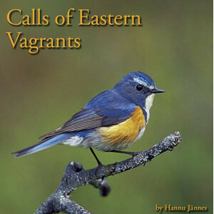CD CALLS OF EASTERN VAGRANTS