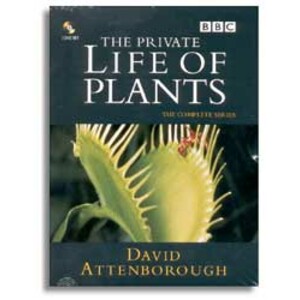 THE PRIVATE LIFE OF PLANTS DVD
