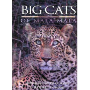 BIG CATS OF MALA MALA