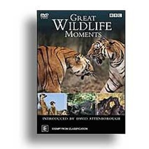 GREAT WILDLIFE MOMENTS. DVD