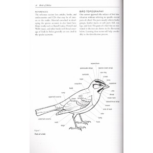 HELM FIELD GUIDES. BIRDS OF BELIZE_1
