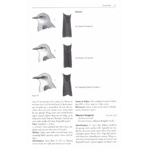 HELM FIELD GUIDES. BIRDS OF BELIZE 5