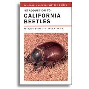 INTRODUCTION TO CALIFORNIA BEETLES