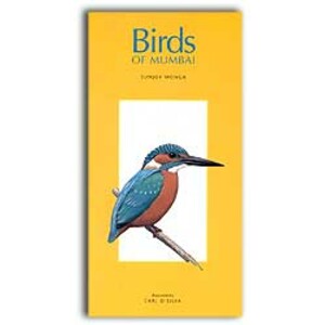 BIRDS OF MUMBAI