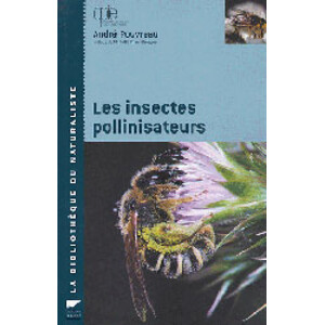 LES INSECTES POLLINISATEURS